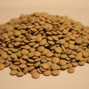Organic Laird Lentils (Brown / Green)