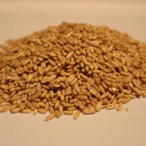 Organic Groats Oats