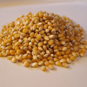 Organic Popping Corn