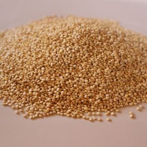 Organic White Quinoa
