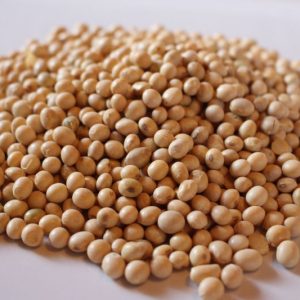 Organic Soya Beans