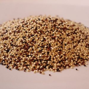 Organic Tri-Coloured Quinoa