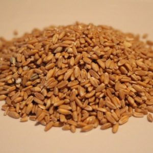 Organic Whole Spelt Grain
